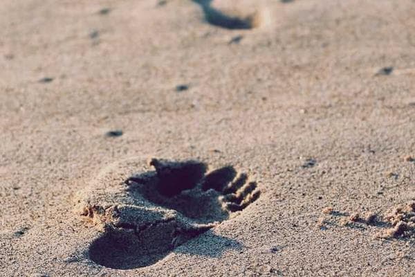 Navigating Kenyan Tax Laws: A Guide for Businesses